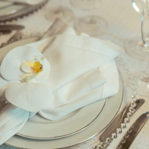 napkin folding techniques pdf