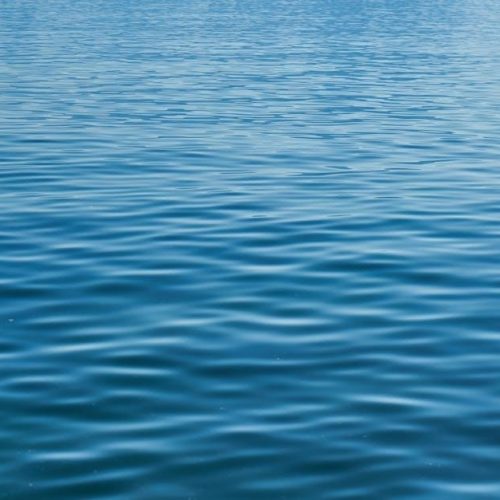 danny and the deep blue sea pdf
