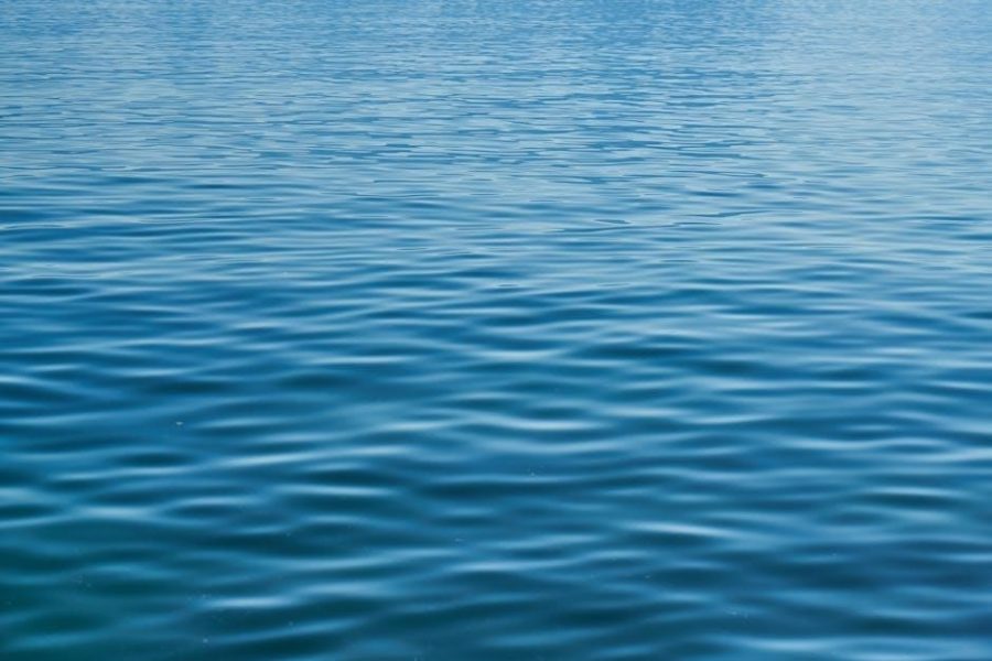 danny and the deep blue sea pdf
