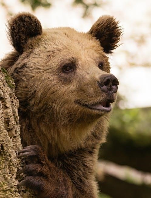 we’re going on a bear hunt pdf