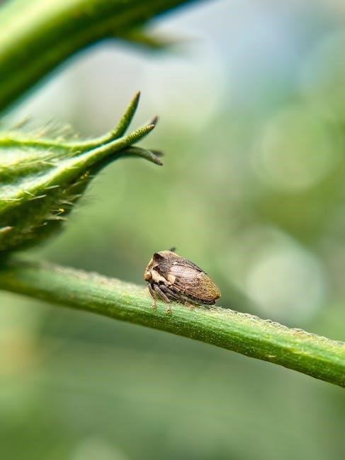 bug in guide navy seal