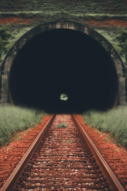 track guide