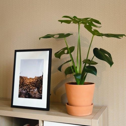 pandigital photo frame user guide