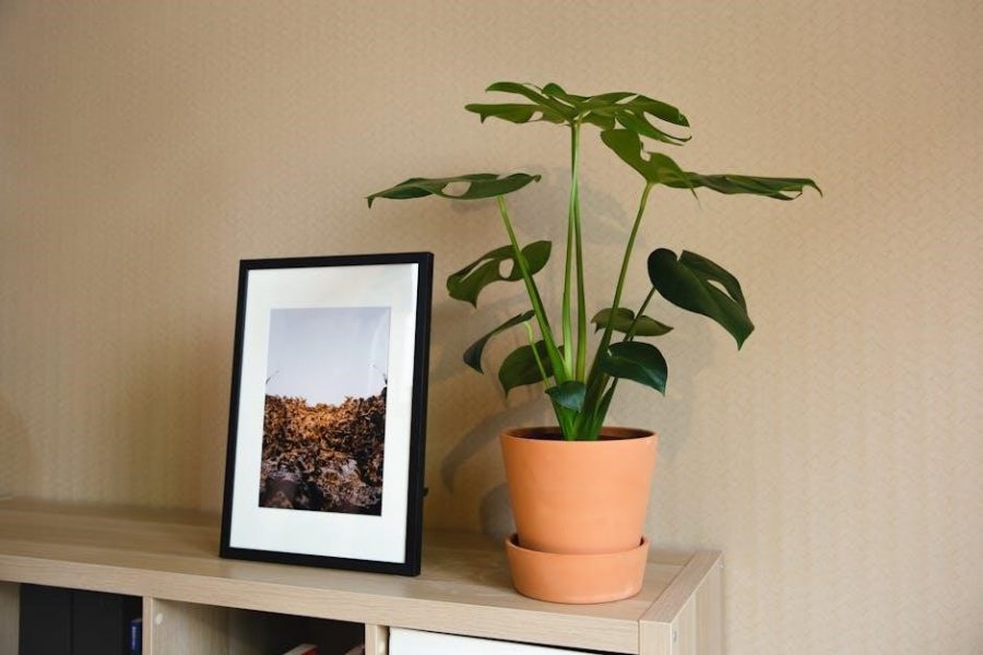 pandigital photo frame user guide