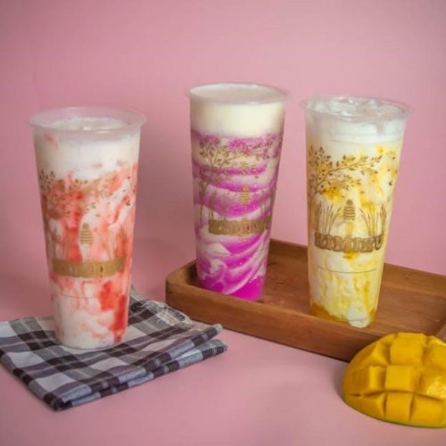 fruit shake recipes pdf