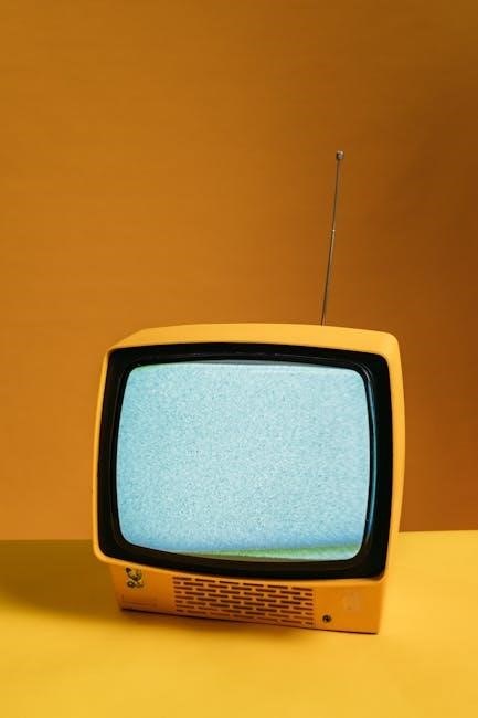 seiki tv owners manual