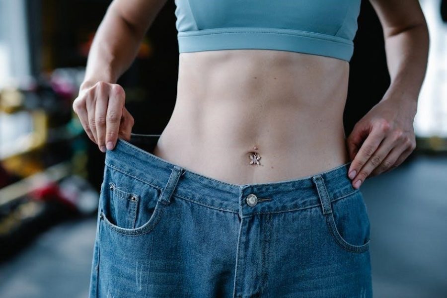 v shred fat loss extreme pdf free