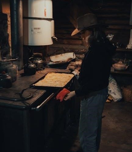 castle pellet stove owner’s manual