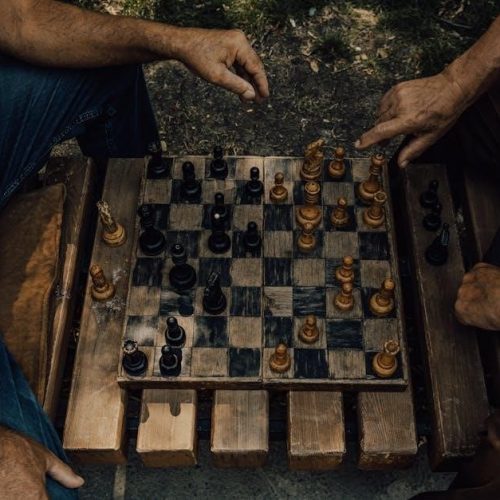 pdf chess openings