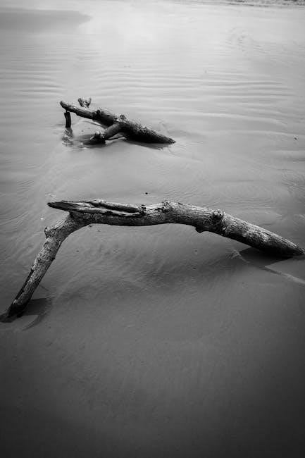 xactimate drying logs for water damage pdf