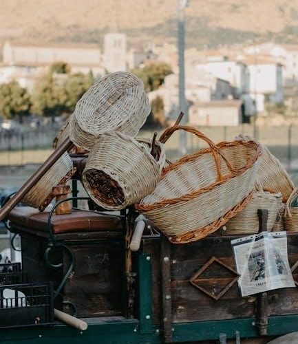 instant vortex air fryer manual pdf