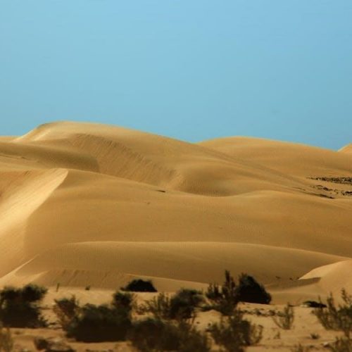 other desert cities pdf