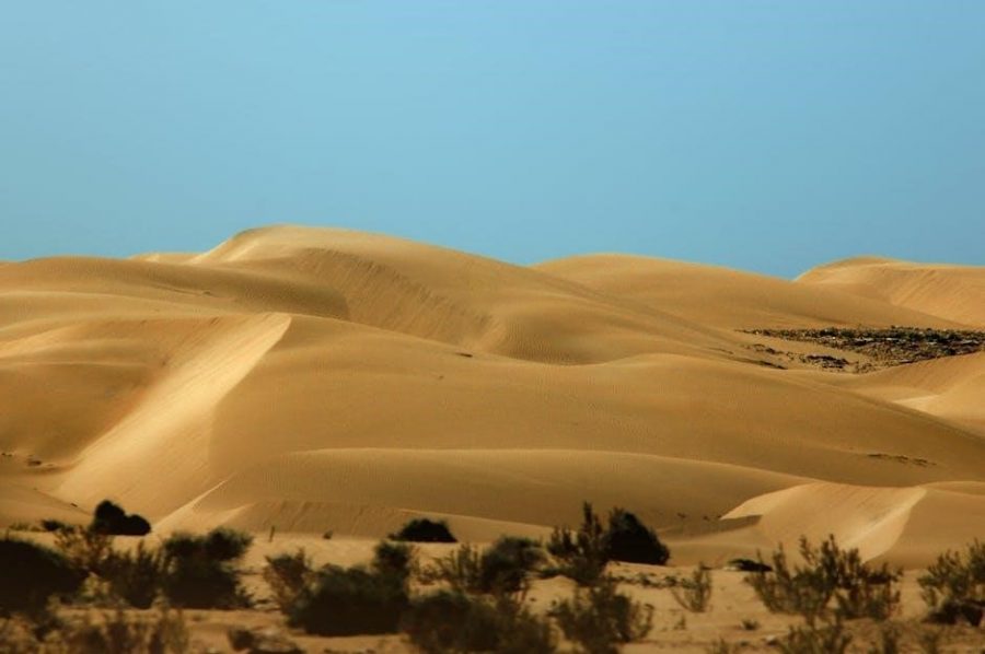 other desert cities pdf
